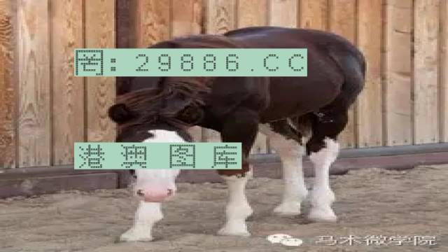 揭秘446999一肖中特馬之秘密，掌握中獎玄機！，揭秘特馬中獎玄機，446999一肖中的秘密大揭秘！