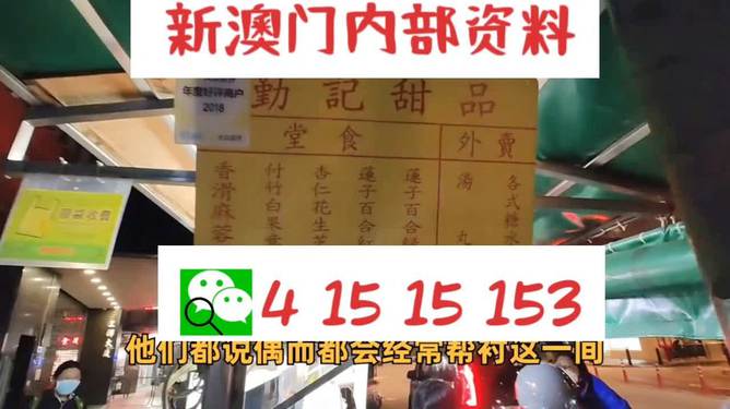 新澳門單雙肖期期，探索與解析，澳門單雙肖期期探索與解析指南