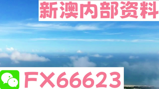 新澳內部免費爆料，深度探索未知的秘密，新澳內部揭秘，深度探索未知的秘密