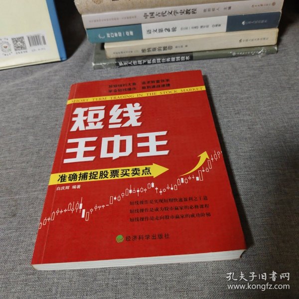 王中王平特一肖中的奧秘與探索，王中王平特一肖的奧秘與探索之旅