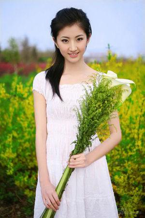 新澳門(mén)生肖走勢(shì)圖精準(zhǔn)版，解讀與SEO策略，新澳門(mén)生肖走勢(shì)圖精準(zhǔn)解讀與SEO策略揭秘
