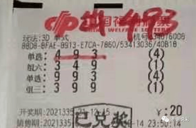 新奧門(mén)彩天天開(kāi)獎(jiǎng)資料一網(wǎng)羅萬(wàn)象，揭秘彩票奧秘，揭秘彩票奧秘，新奧門(mén)彩天天開(kāi)獎(jiǎng)資料一網(wǎng)羅萬(wàn)象