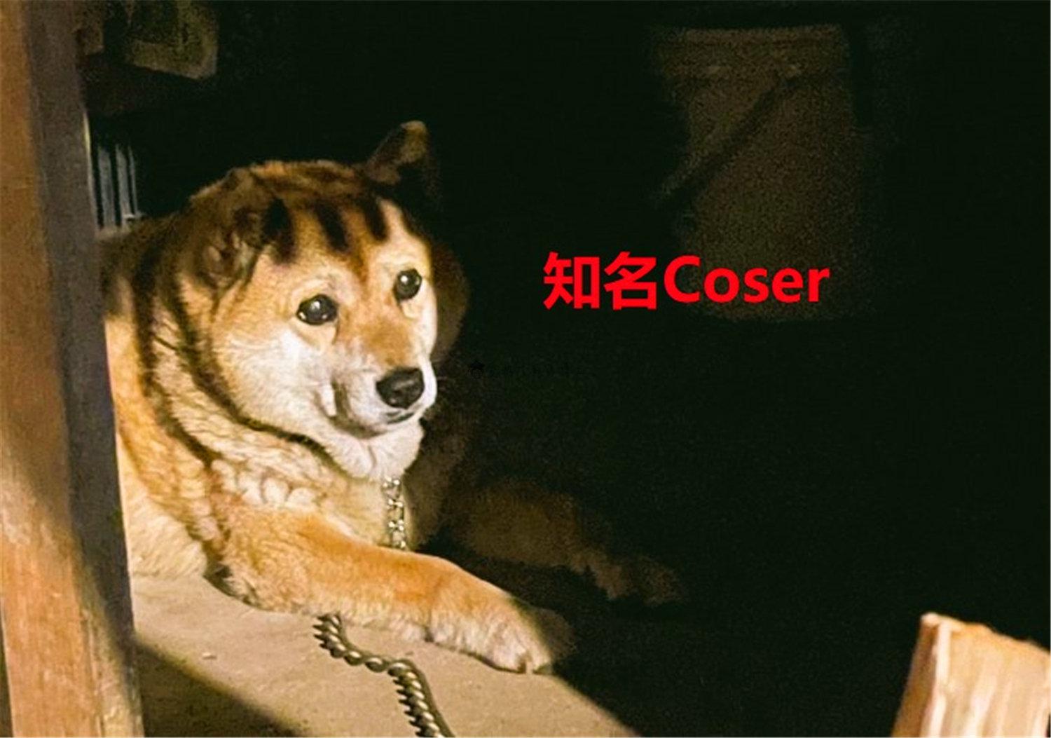 豬狗同行王中王，猜一肖，深度解析與SEO優(yōu)化，豬狗同行王中王猜謎解析與SEO優(yōu)化技巧，深度解析揭秘生肖之謎