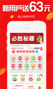 王中王欲錢請猜一肖，揭秘生肖之謎與SEO策略，揭秘生肖之謎與SEO策略，王中王欲錢請猜一肖的奧秘