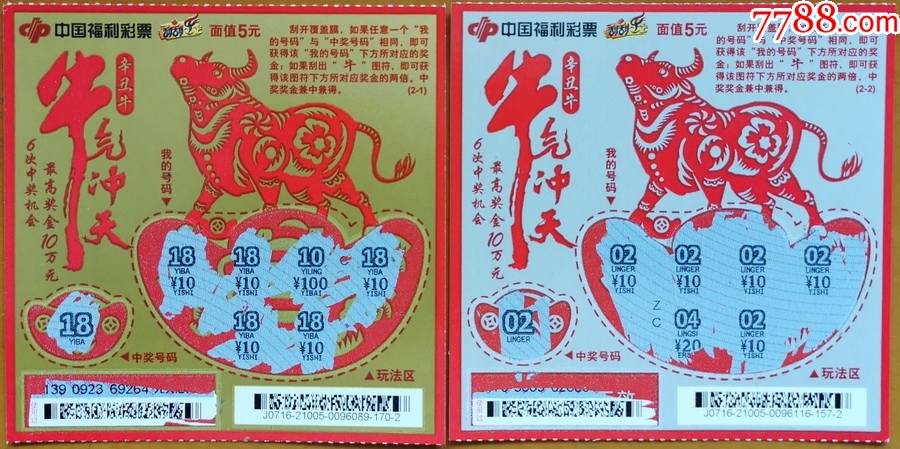 王中王19期指一生肖——探尋背后的奧秘與意義，王中王19期指一生肖，背后的奧秘與意義探尋