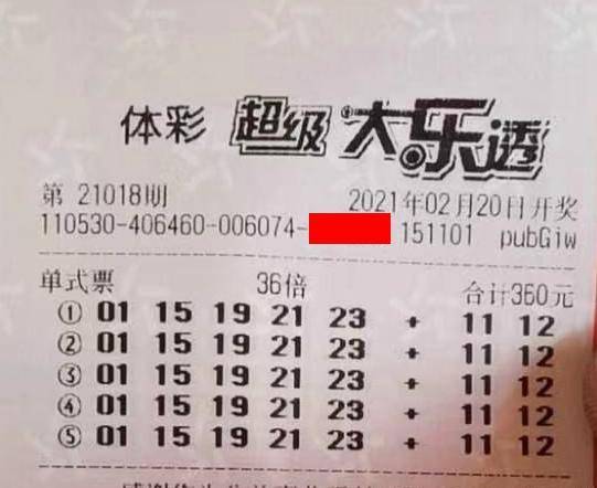 王中王018期指一生肖，揭秘背后的奧秘與意義，揭秘生肖奧秘，王中王生肖背后的意義與秘密
