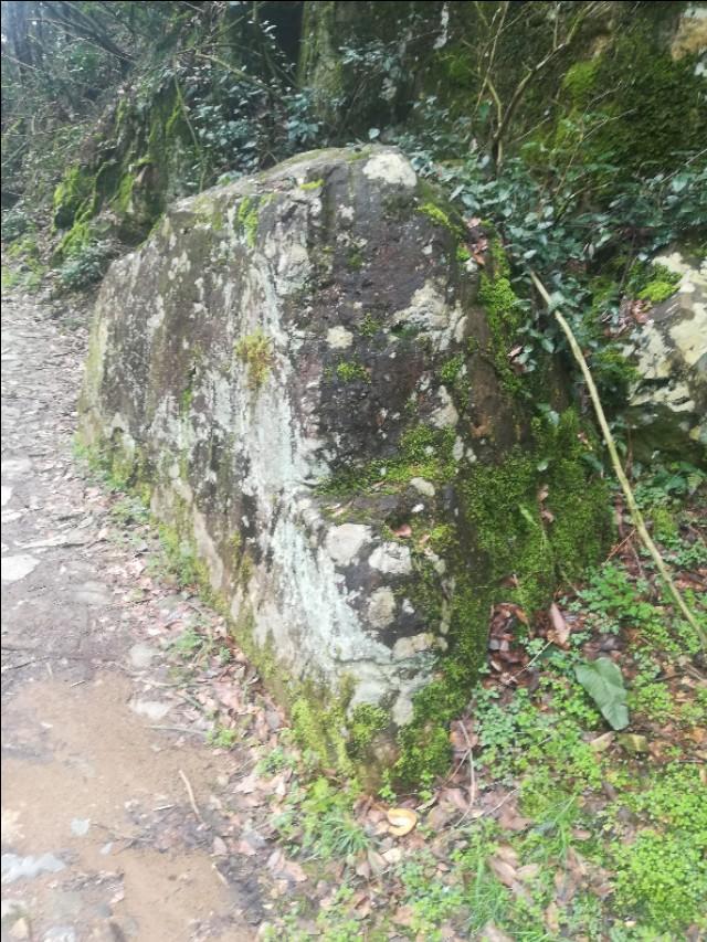 揭秘四不像劉伯溫一肖圖——探尋背后的神秘故事與SEO奧秘，揭秘四不像劉伯溫一肖圖背后的神秘故事與SEO奧秘探索