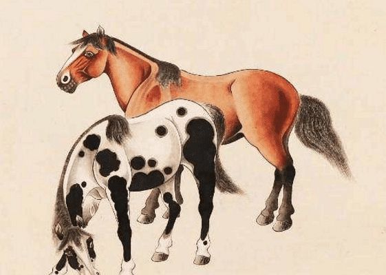 馬一王中王特平一肖圖，深度解析與SEO優(yōu)化策略，深度解析馬一王中王特平肖圖，SEO優(yōu)化策略探討