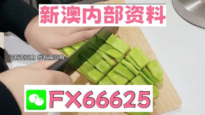 新澳精選資料免費提供，探索優(yōu)質(zhì)資源的海洋，新澳精選資料免費探索，優(yōu)質(zhì)資源海洋的開啟