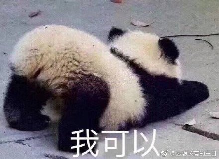 澳門(mén)四不像正版四不像網(wǎng)，探索真實(shí)與虛幻的交融之地，澳門(mén)四不像正版探索，真實(shí)與虛幻的交融世界