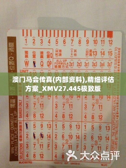 馬會傳真正版，探索正版馬會文化的魅力與價值，正版馬會文化的魅力與價值探索