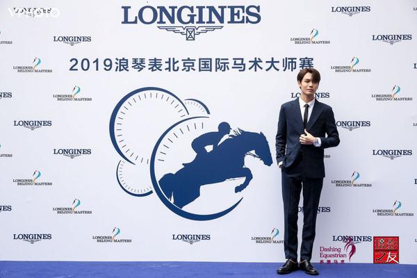 王中王一肖精準，深度解析與策略探討，王中王一肖精準解析與策略深度探討