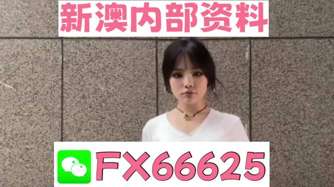 澳門正版資料大全完整版，探索與揭秘2025年澳門正版資料的世界，澳門正版資料大全揭秘，探索未來至2025年的奧秘世界
