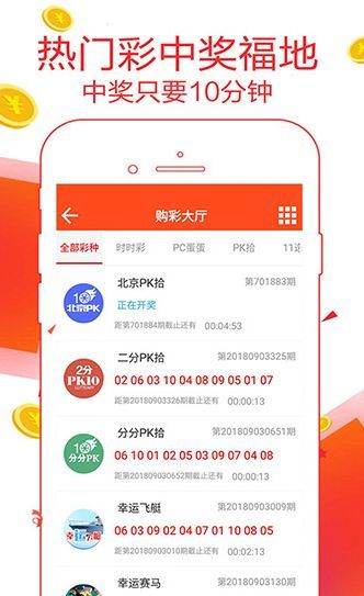 王中王一肖碼數(shù)口，深度解析與SEO優(yōu)化策略，王中王一肖碼數(shù)口深度解析與SEO優(yōu)化策略探討