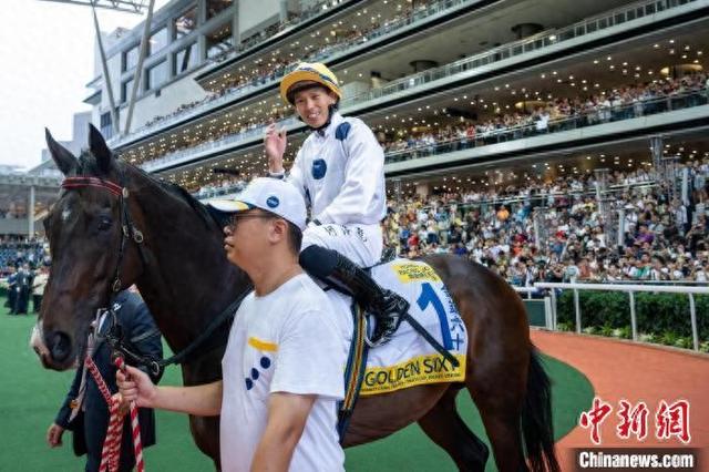 香港特馬王資料免費(fèi)公開，揭秘背后的秘密，香港特馬王資料揭秘，免費(fèi)公開背后的秘密