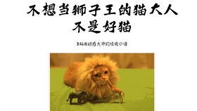 王中王013期指一生肖——探尋背后的秘密與奧秘，王中王013期生肖揭秘，探尋背后的秘密與奧秘之旅