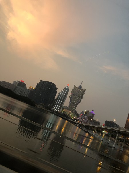 澳門今晚必開一肖一特，深度解析與預(yù)測，澳門今晚生肖特碼深度解析與預(yù)測，一肖一特必開趨勢探討