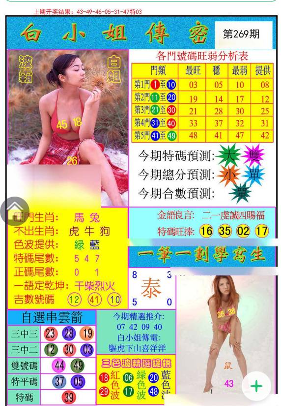 揭秘白小姐與王中王平持一肖的神秘面紗，白小姐與王中王，揭秘神秘生肖預測面紗