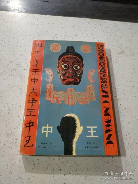 王中王資料與肖中特，深度解析，王中王資料與肖中特深度剖析