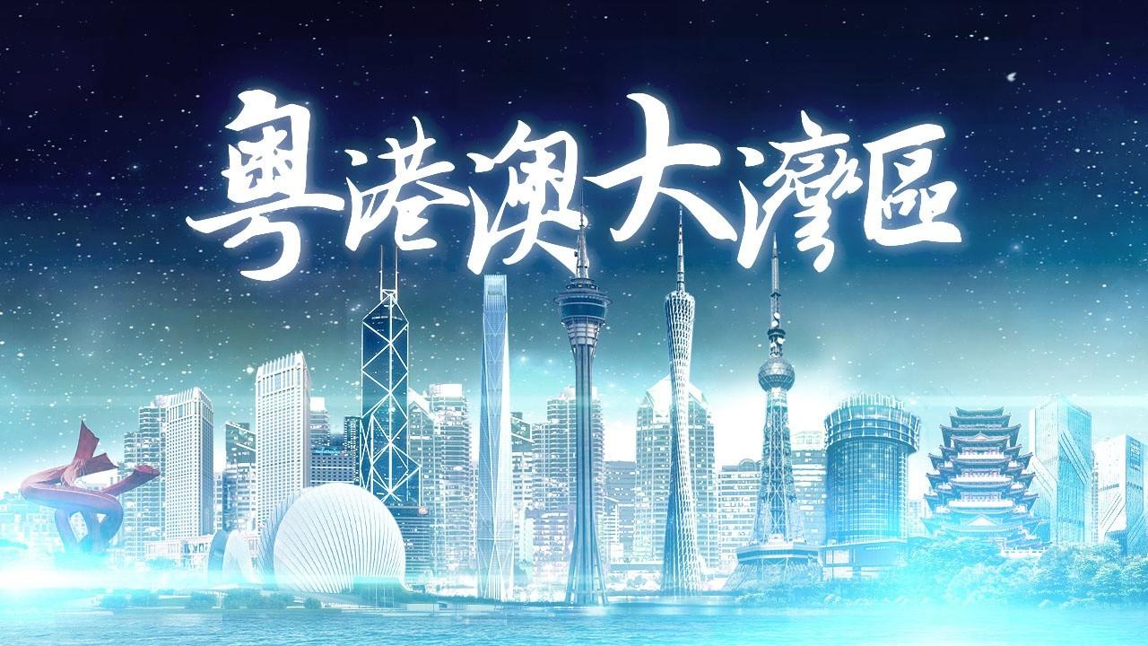2025年香港正版免費(fèi)資料全面解析，香港正版免費(fèi)資料全面解析（2025版）
