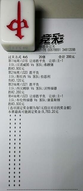 揭秘買一肖中獎(jiǎng)的賠率與風(fēng)險(xiǎn)，你真的準(zhǔn)備好了嗎？，揭秘買一肖中獎(jiǎng)背后的賠率與風(fēng)險(xiǎn)，你真的做好準(zhǔn)備了嗎？