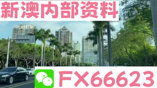 新澳精準資料免費提供，探索第221期的奧秘與價值，新澳精準資料揭秘第221期奧秘與價值