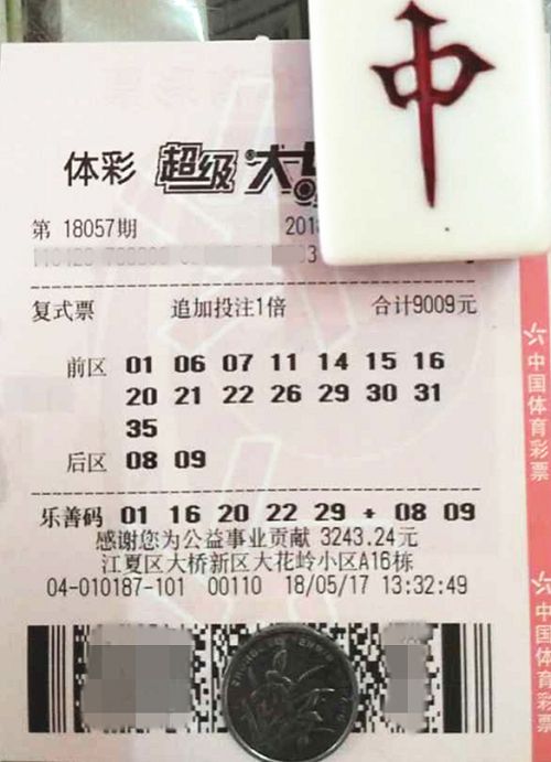 澳門六開彩天天開獎結果查詢，輕松掌握最新動態(tài)，澳門六開彩最新開獎結果查詢，輕松掌握每日動態(tài)