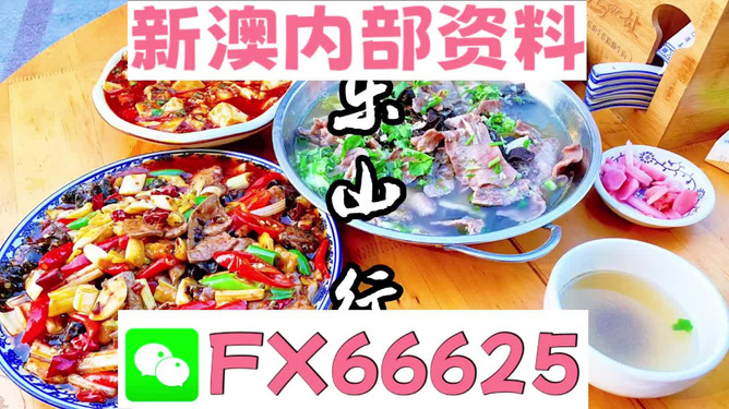新澳全年免費(fèi)資料大全——探索與學(xué)習(xí)的不竭源泉，新澳全年免費(fèi)資料大全，無(wú)盡的學(xué)習(xí)資源寶庫(kù)