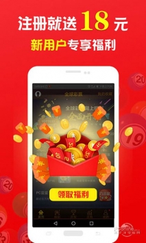 王中王一肖中打一，深度解析一種獨(dú)特的文化現(xiàn)象，王中王一肖中打一，獨(dú)特文化現(xiàn)象的深度探究
