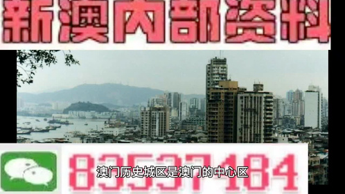 澳門全年最全免費資料大全，探索無盡的資源寶庫，澳門全年免費資料寶庫，探索無盡資源之旅