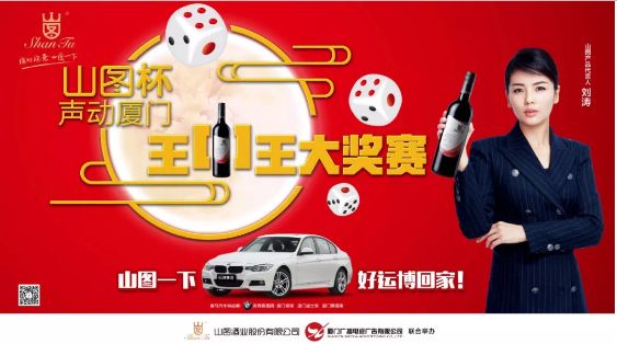 揭秘王中王背后的故事，從肖中的視角看其在SEO領(lǐng)域的輝煌成就，肖中視角下的王中王，SEO領(lǐng)域的輝煌成就揭秘