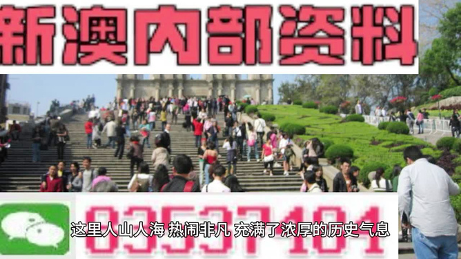 澳門最精準(zhǔn)免費(fèi)資料大全旅游團(tuán)，探索澳門之旅的完美選擇，澳門最精準(zhǔn)免費(fèi)資料大全旅游團(tuán)，探索澳門之旅的不二之選