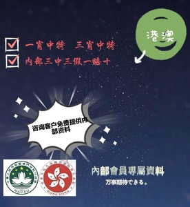 揭秘香港王中王，探尋肖中特背后的秘密，揭秘香港王中王背后的秘密與肖中特真相探索