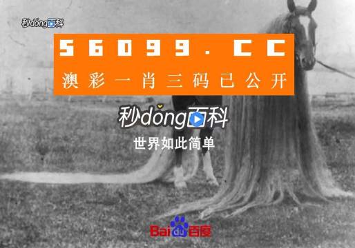 澳門(mén)一肖一碼一必中一肖舟山，揭秘彩票秘密，掌握幸運(yùn)之鑰，揭秘彩票秘密，澳門(mén)一肖一碼必中秘籍與幸運(yùn)之鑰在舟山開(kāi)啟