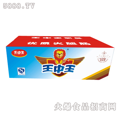 王中王一肖特圖，揭秘背后的故事與魅力，揭秘王中王一肖特圖的背后故事與魅力