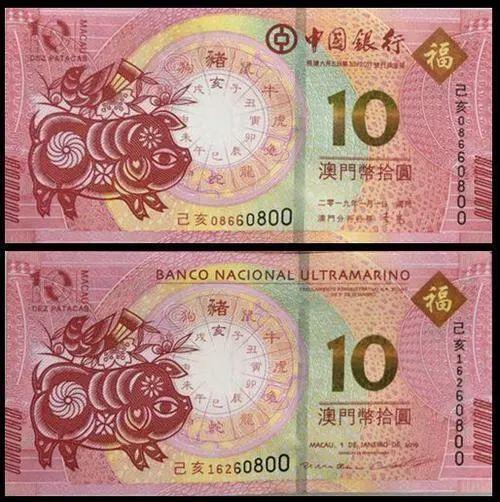 澳門天天彩期期精準(zhǔn)十二生肖預(yù)測——揭秘彩票背后的秘密，澳門天天彩期期精準(zhǔn)十二生肖預(yù)測，彩票背后的秘密大揭秘