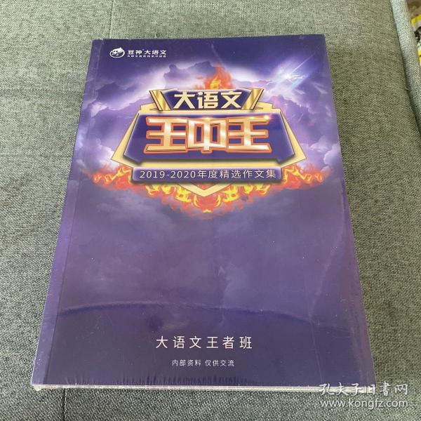 2019王中王資料解析，一肖中qr的秘密，揭秘王中王資料解析與一肖中qr的秘密，解密背后的真相