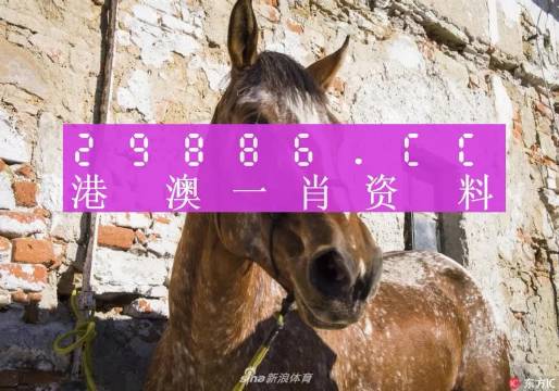 王中王資料一門肖中，深度解析與探索，王中王資料一門肖詳解，深度解析與探索