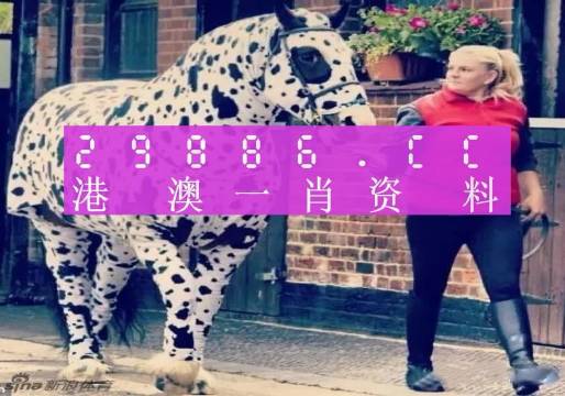 澳門王中王，一肖一特一中深度解析（180期精彩回顧），澳門王中王，深度解析第180期精彩回顧，生肖與特碼揭秘