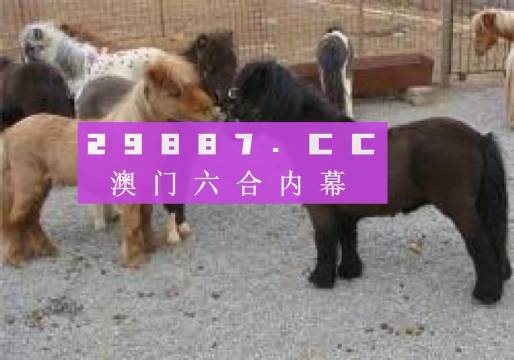 王中王平特一肖四不像圖，深度解析與SEO優(yōu)化策略，王中王平特一肖四不像圖，深度解析與SEO優(yōu)化策略探討