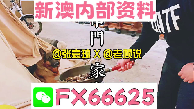 新澳門精準(zhǔn)資料大全，管家婆料解析與探索，澳門精準(zhǔn)資料大全，管家婆料解析與深度探索