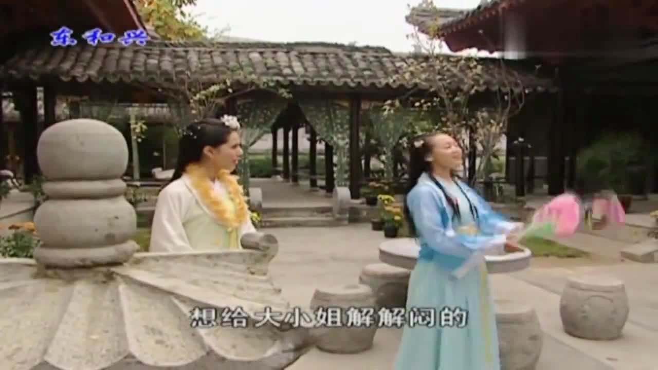 劉伯溫白小姐一肖期期準(zhǔn)，神秘預(yù)測背后的真相，劉伯溫白小姐生肖預(yù)測揭秘，神秘預(yù)測背后的真相