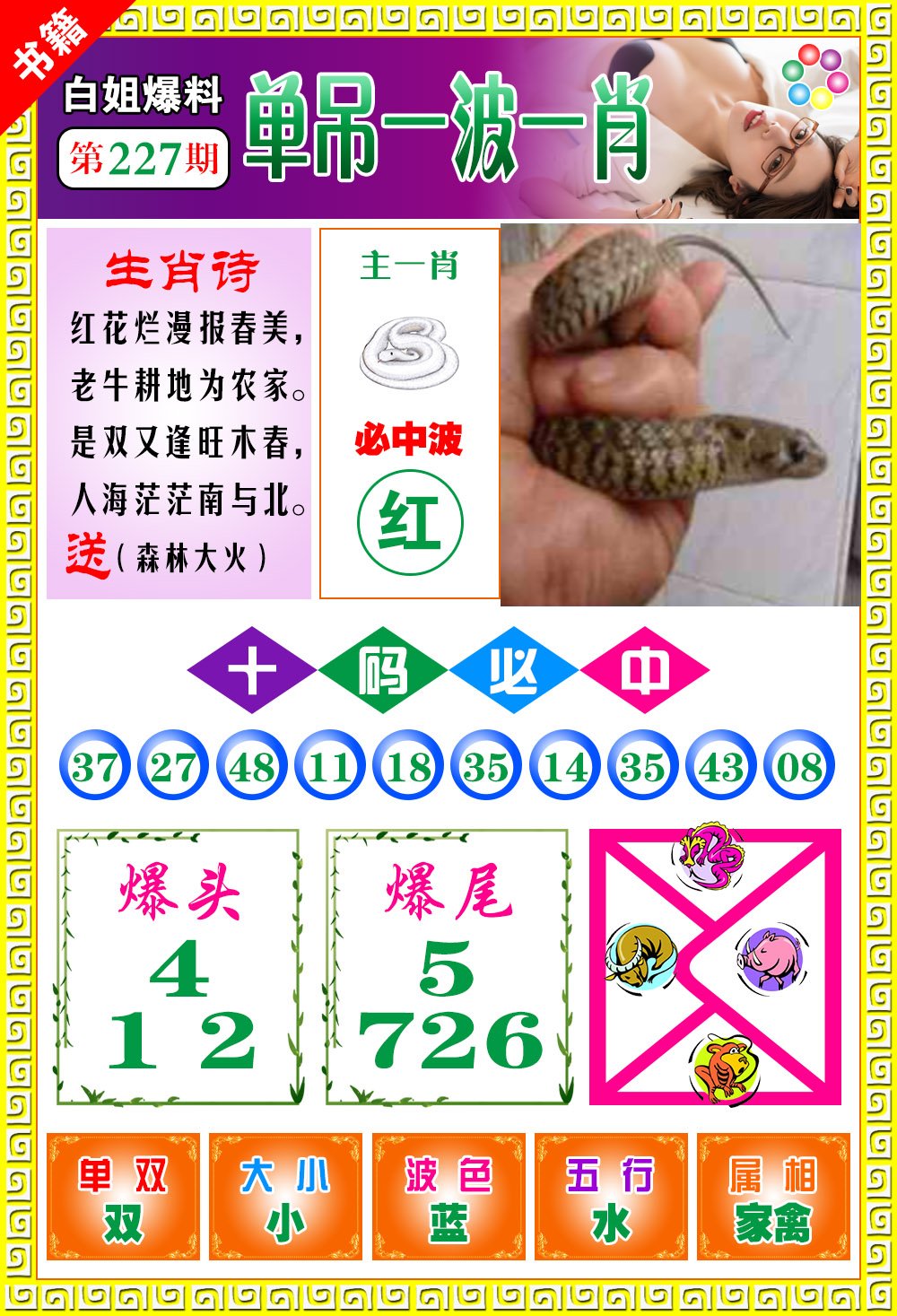 王中王免費(fèi)一肖開獎，揭秘彩票背后的秘密，揭秘彩票背后的秘密，王中王免費(fèi)一肖開獎探秘