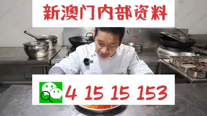 管家婆一肖資料大全，深度解析與探索，管家婆一肖資料深度解析與探索大全