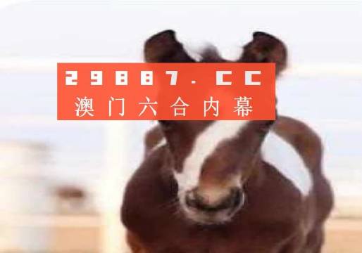 澳門必開一肖一碼安穩(wěn)，揭秘彩票背后的秘密與策略，揭秘彩票背后的秘密與策略，澳門必開一肖一碼安穩(wěn)探討
