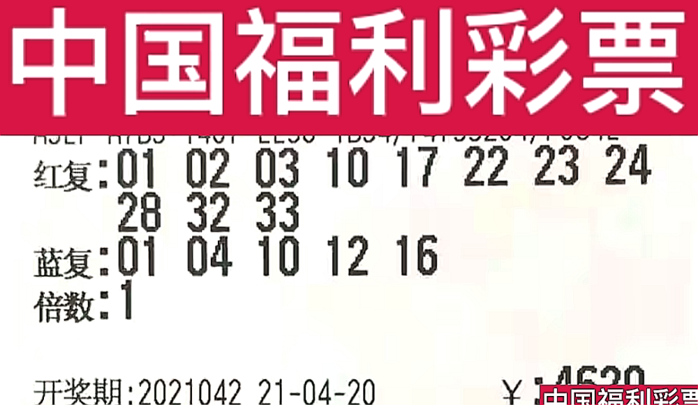新奧門今晚開獎結(jié)果查詢第243期，全面解析與預(yù)測，新奧門第243期開獎結(jié)果解析與預(yù)測，今晚開獎揭秘
