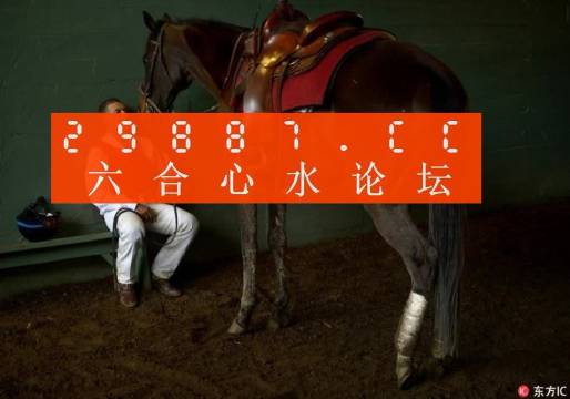 一肖一馬王中王一馬中特，深度解析與SEO優(yōu)化策略，一肖一馬王中王深度解析與SEO優(yōu)化策略探討