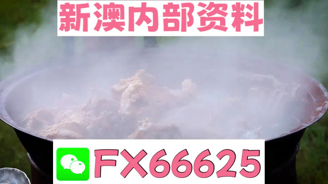 新澳全年免費(fèi)資料大全，一站式獲取優(yōu)質(zhì)資源指南，新澳全年優(yōu)質(zhì)資源免費(fèi)獲取指南