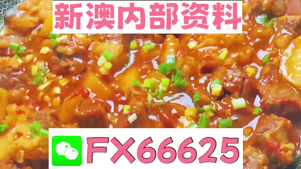 新奧天天免費資料大全——探索與優(yōu)化的SEO之旅，新奧天天免費資料大全，SEO探索與優(yōu)化之旅