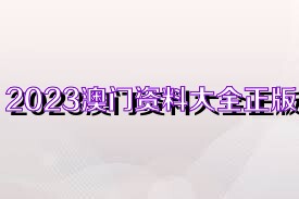 澳門(mén)資料大全正版資料免費(fèi)，探索未來(lái)的澳門(mén)與2025展望，澳門(mén)未來(lái)展望，資料大全正版免費(fèi)探索與2025展望